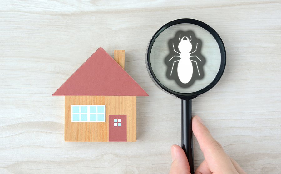 高精度の調査・地盤補強