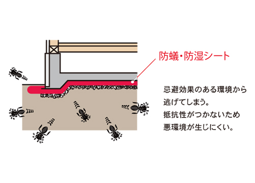 防蟻防湿シートによるシート工法