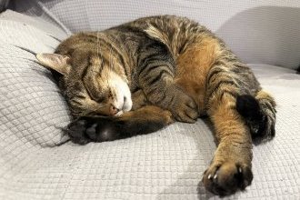 おいしいは体に溜まる