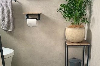 我が家のトイレ、今こんな感じです。