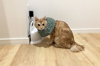 わんぱく過ぎて…