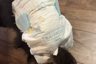 我が家のおむつはパンパース