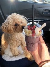 ちょっとしたこだわり