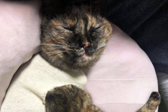 春の節句