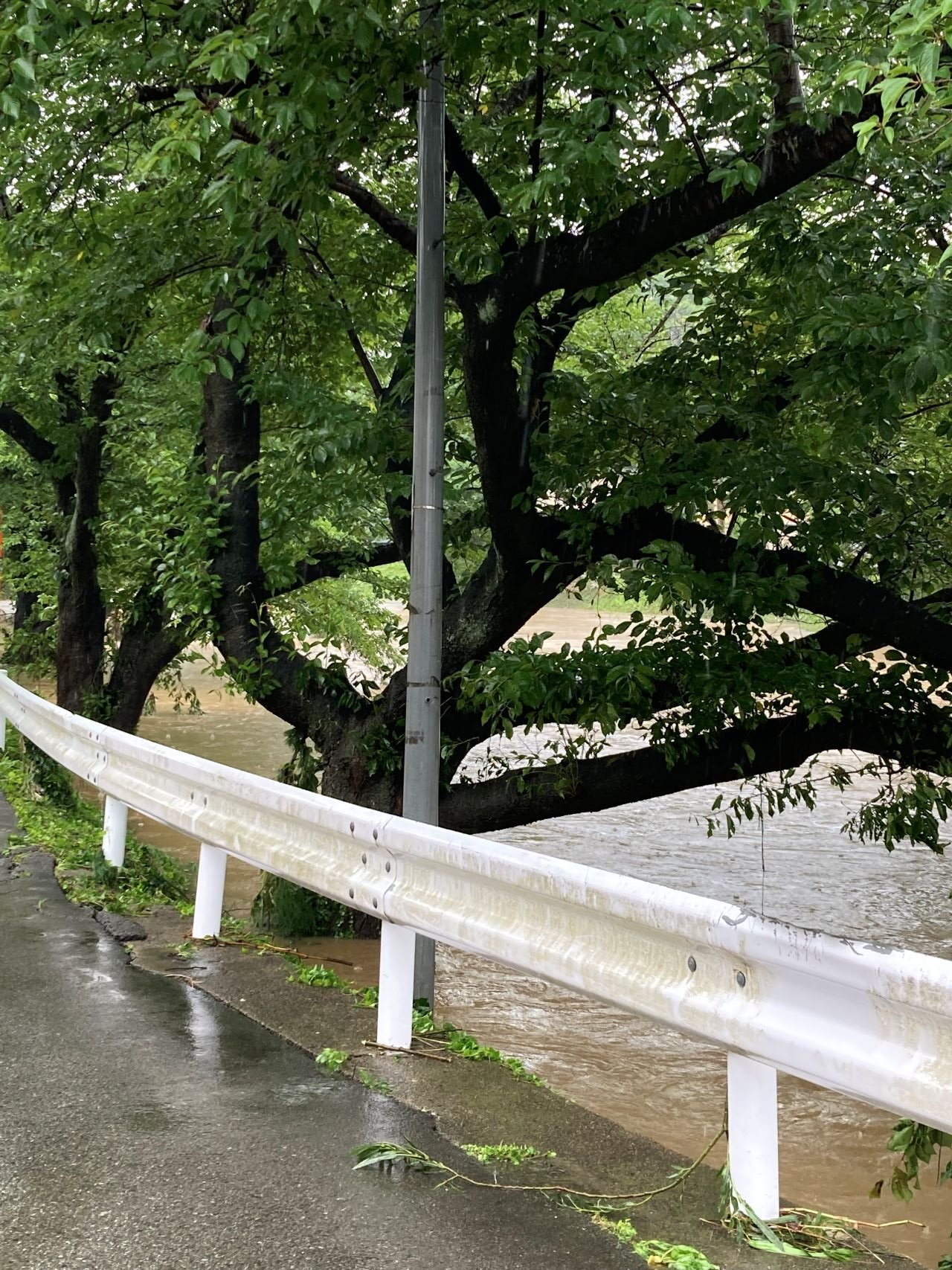 昨年７月の太平川