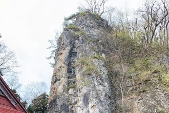 今年は年女なので