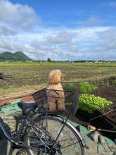 おじいちゃんち