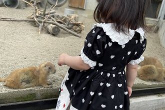 初めてのジェットコースター