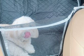 犬とお出かけ