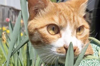 今年も釣りの季節がやってきました！