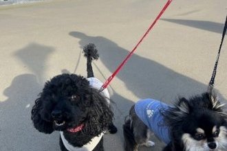 ☆☆おでかけ☆☆