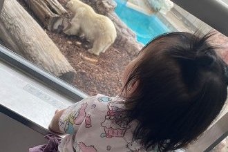 はじめてのGAO！