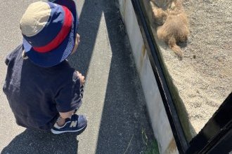 息子とお出かけ