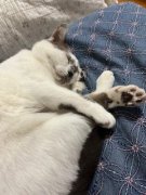 美味しい秋