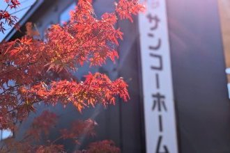 展示場の秋🍁 