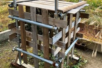 寒い朝の雪囲い