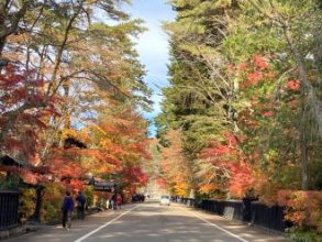 「今年の紅葉『角館編』」
