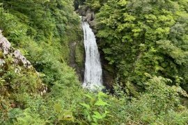 デトックス旅行