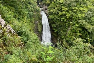デトックス旅行