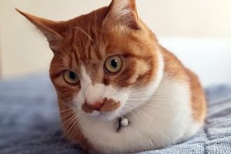 今年もよろしくお願いいたします！