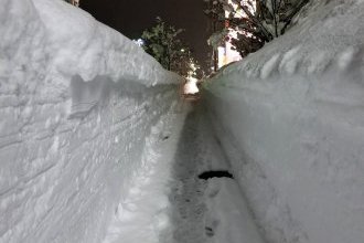 最近のお気に入り