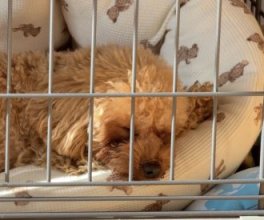 本年も宜しくお願い申し上げます。