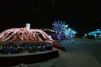 イルミネーション