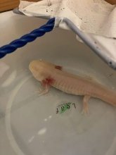 残暑お見舞い申し上げます。