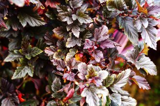 サンコーホーム 秋田の家づくりもトレンドカラーを意識して