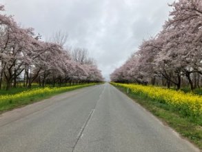 動きやすい季節になりました
