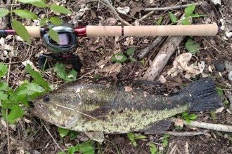 今シーズン開幕