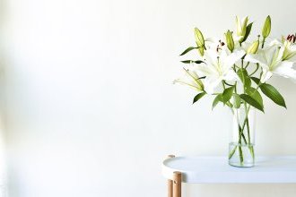 壁紙のおはなし。