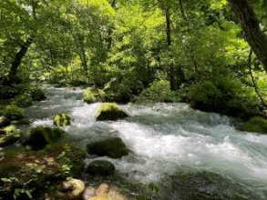 奥入瀬渓流