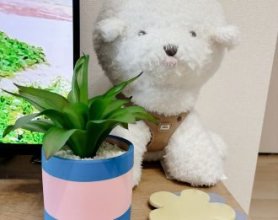 ＃カラフルインテリア