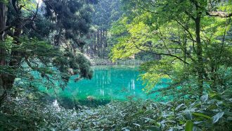 いいことあるかも？