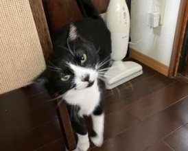 長生きしてね。