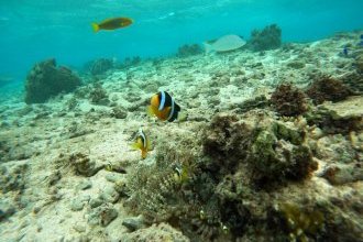 新婚旅行に行ってきました！