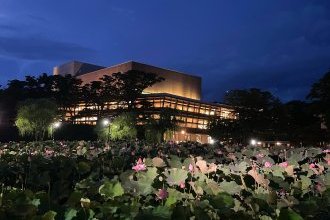 車のバッテリーの充電は定期的に。