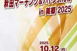 マーチングSHOW