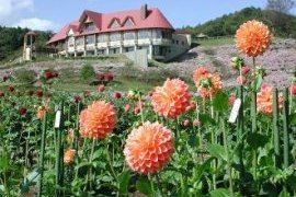 お花に癒されて