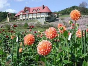 お花に癒されて