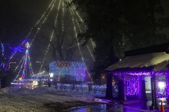 冬のイルミネーション