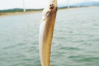 久々の海釣りへ！