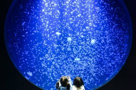 加茂水族館