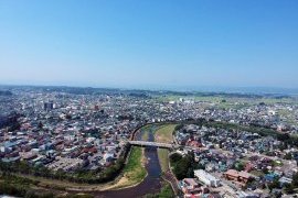 鳥たちの視点