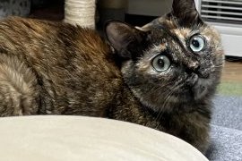 夜中のできごと