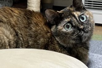 夜中のできごと