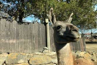 那須へいきました