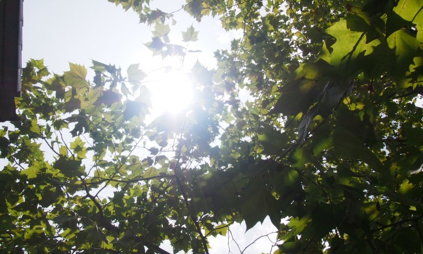 床快 Soleil(ソレイユ)